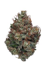 Sour Cream - Hybrid Cannabis Strain by Hytiva Sour Cream - Hybrid Cannabis Strain